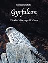 Gyrfalcon: The One Who Stays All Winter
