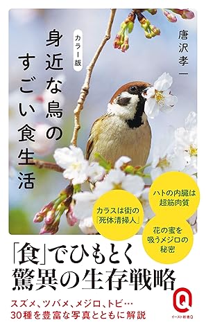 カラー版 身近な鳥のすごい食生活 By 唐沢孝一 カラー版 身近な鳥のすごい食生活 By 唐沢孝一