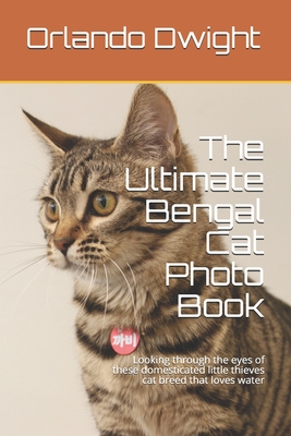 The Ultimate Bengal Cat Photo Book: Looking through the eyes of these domesticated little thieves cat breed that loves water