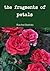 the fragments of petals by Rachel Bartolo
