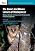 The Dwarf and Mouse Lemurs of Madagascar (Cambridge Studies in Biological and Evolutionary Anthropology, Series Number 73)