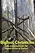 Bigfoot Chronicles