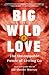 Big Wild Love: The Unstoppa...