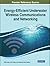 Energy-Efficient Underwater Wireless Communications and Networking