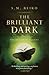 The Brilliant Dark: The Realms of Ancient, Book 3 (3)