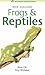 New Zealand Frogs and Reptiles by Brian Gill