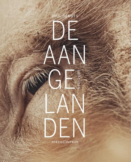 De aangelanden (Paperback)