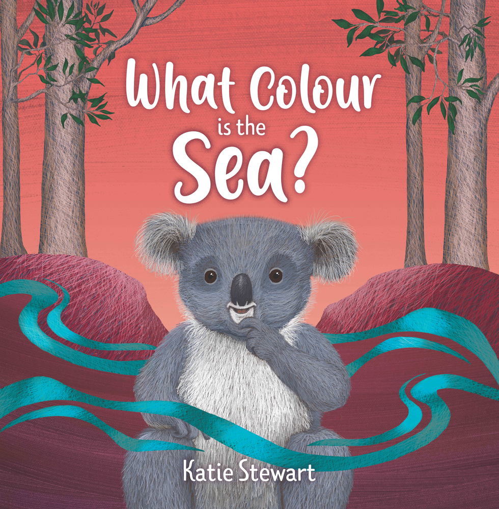 What Colour is the Sea? (Hardcover)