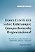 Lições essenciais sobre liderança e comportamento organizacio... by Fabio de Biazzi