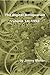 The Digital Antiquarian Volume 14: 1992