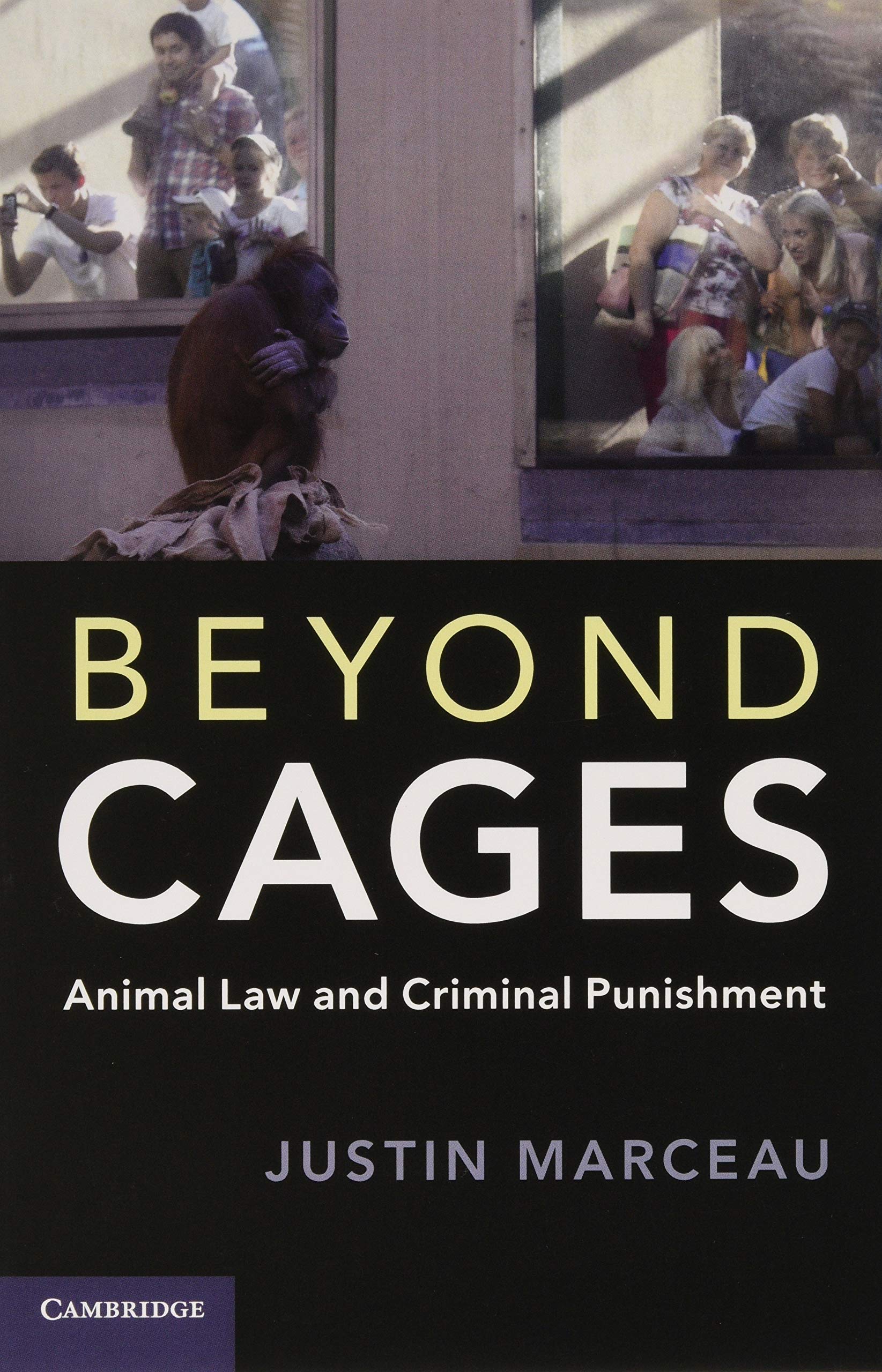 Beyond Cages (Paperback)