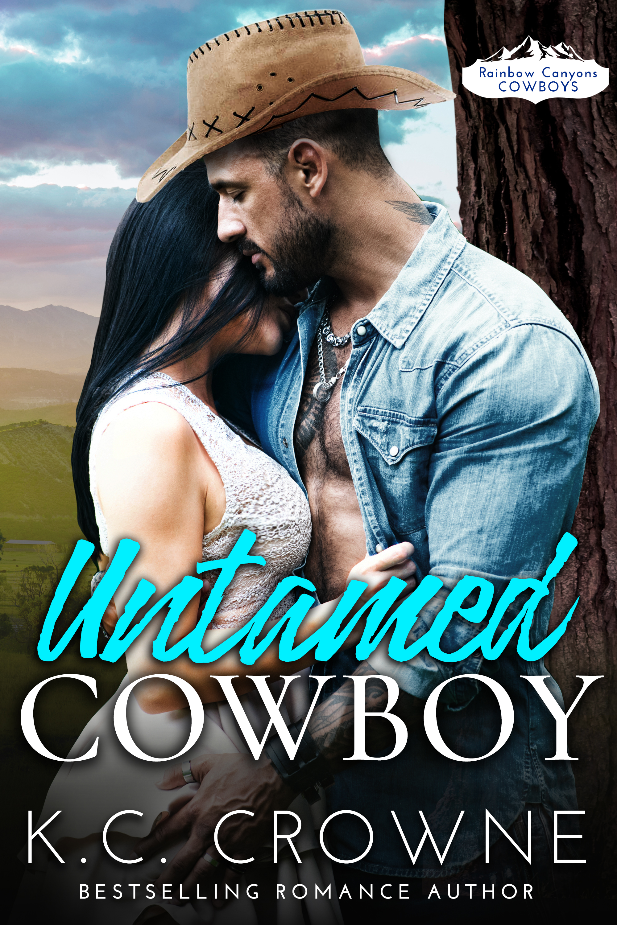 Untamed Cowboy (Rainbow Canyons Cowboys, #1)