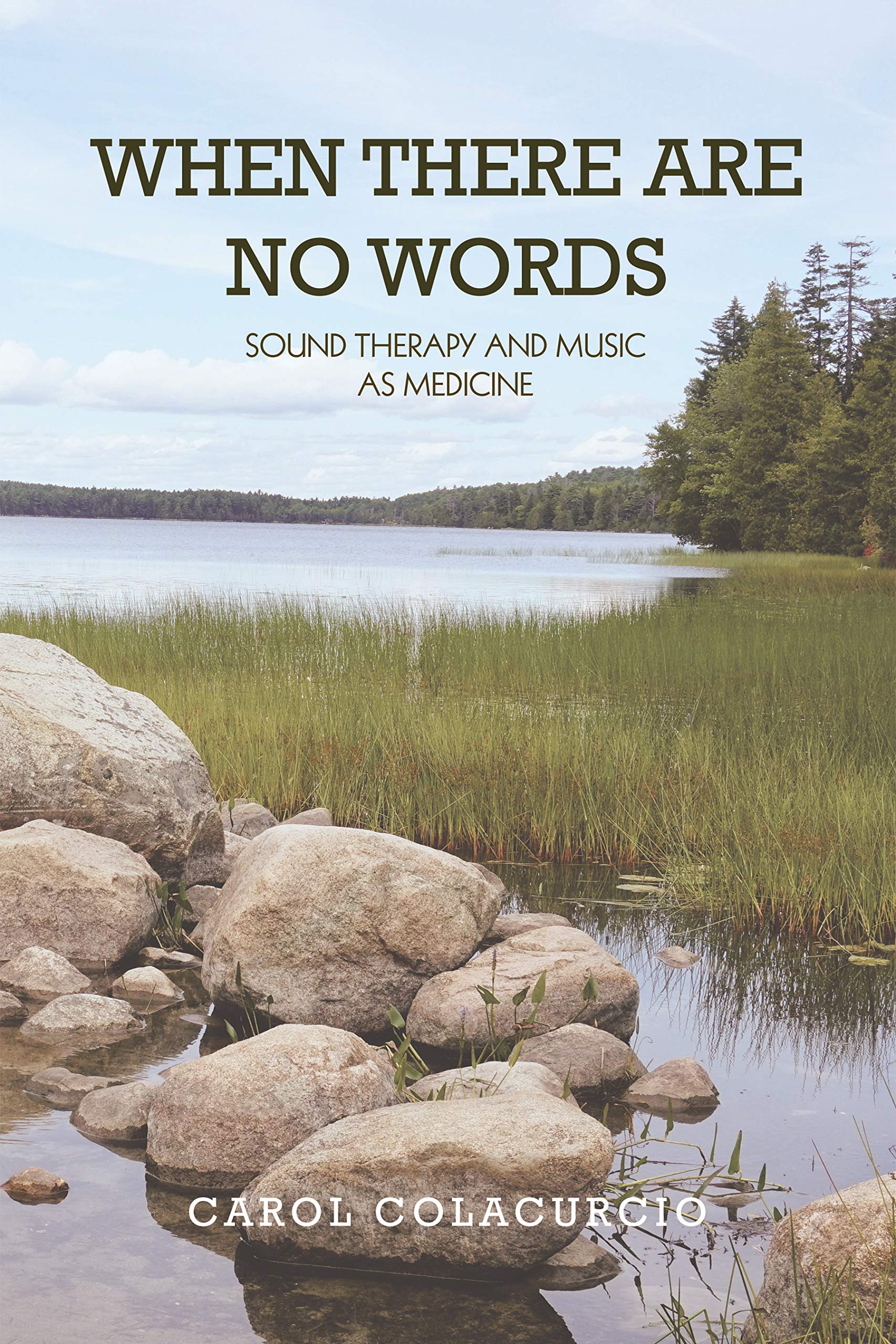 When There Are No Words: Sound Therapy and Music as Medicine (Kindle Edition)