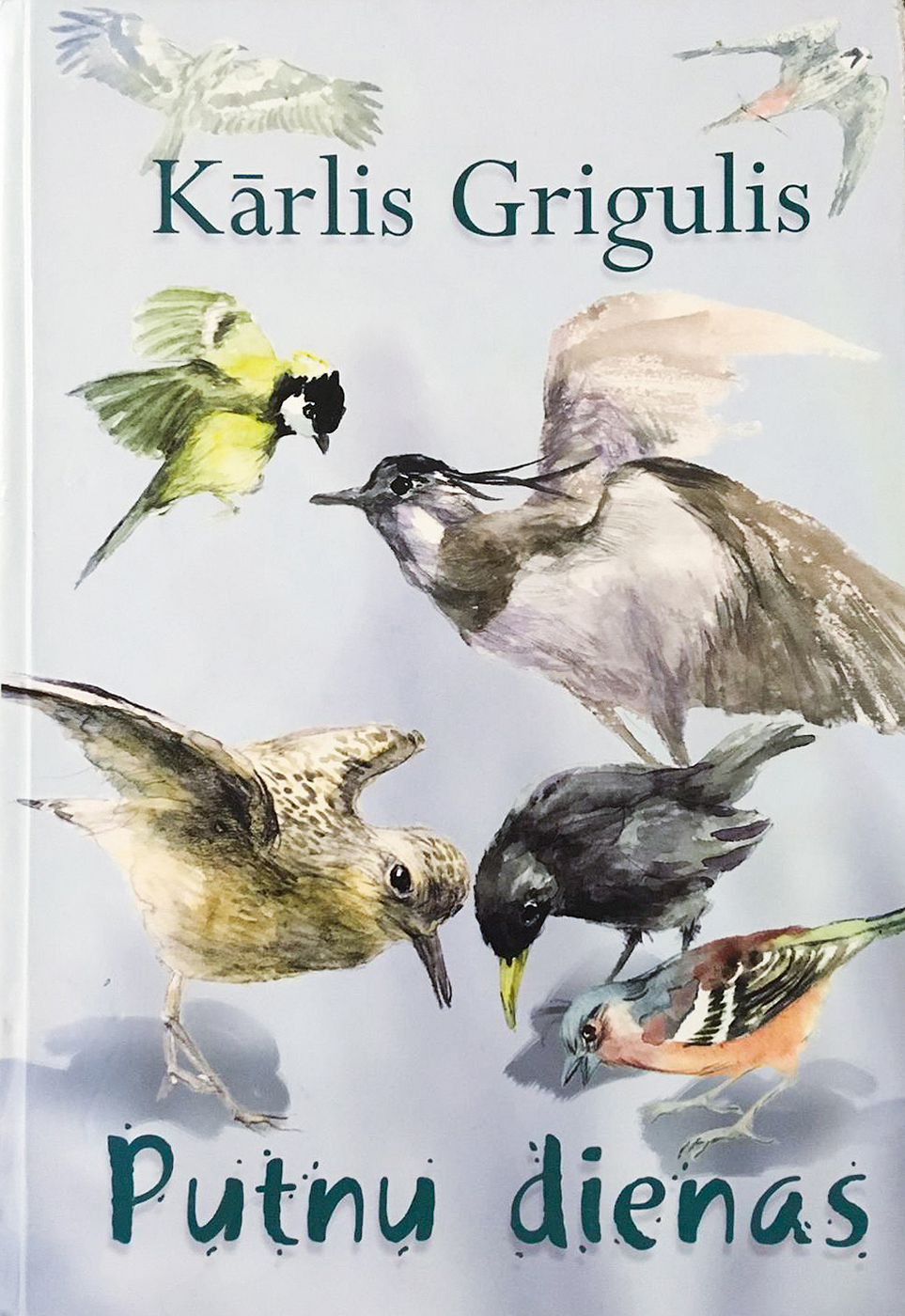 Putnu dienas (Hardcover)