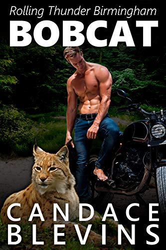 Bobcat (Rolling Thunder MC Birmingham, #2)