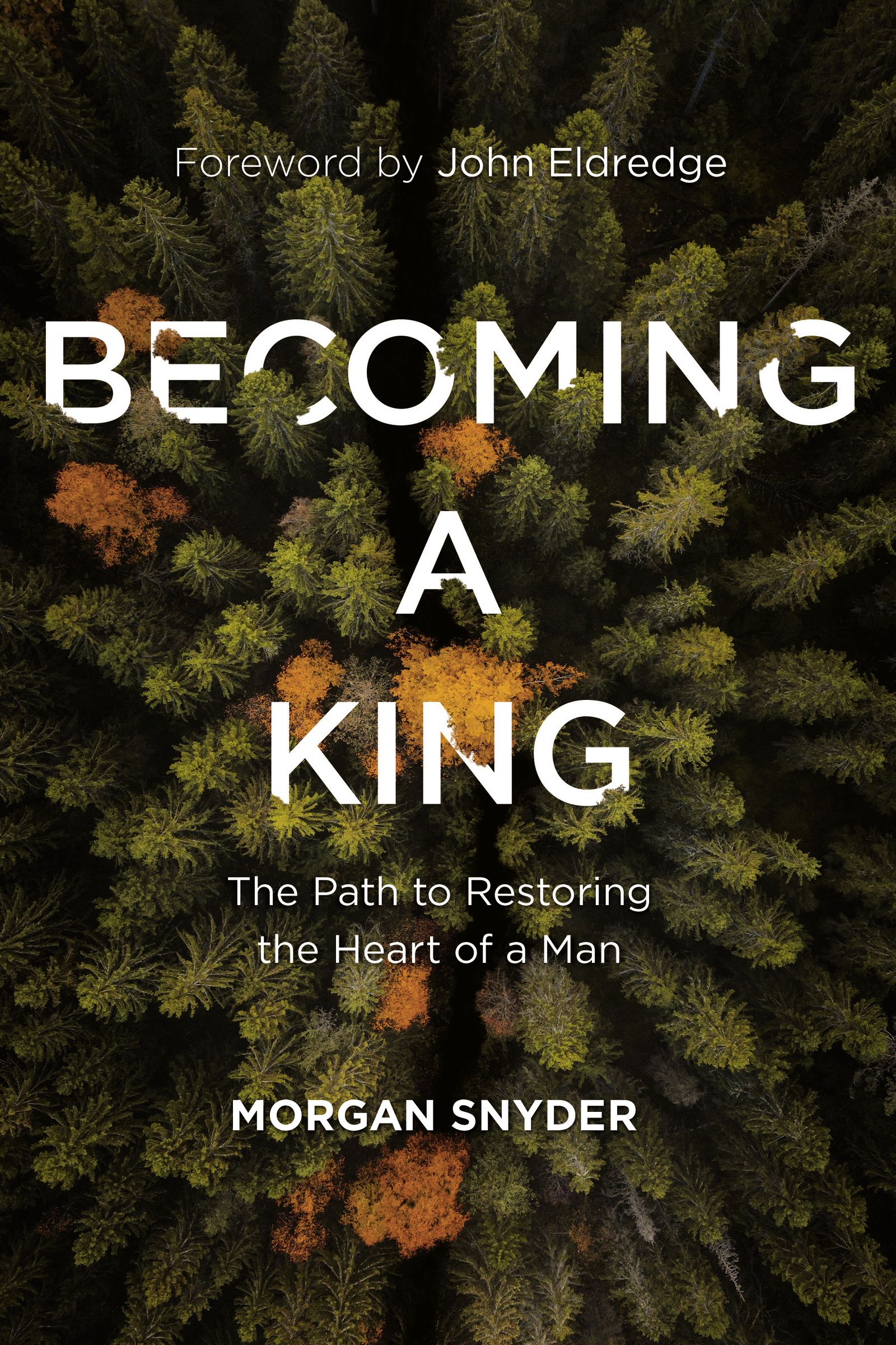 Becoming a King: The Path to Restoring the Heart of a Man (Hardcover)