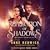 A Reflection of Shadows (Elemental Web Tales, #3)