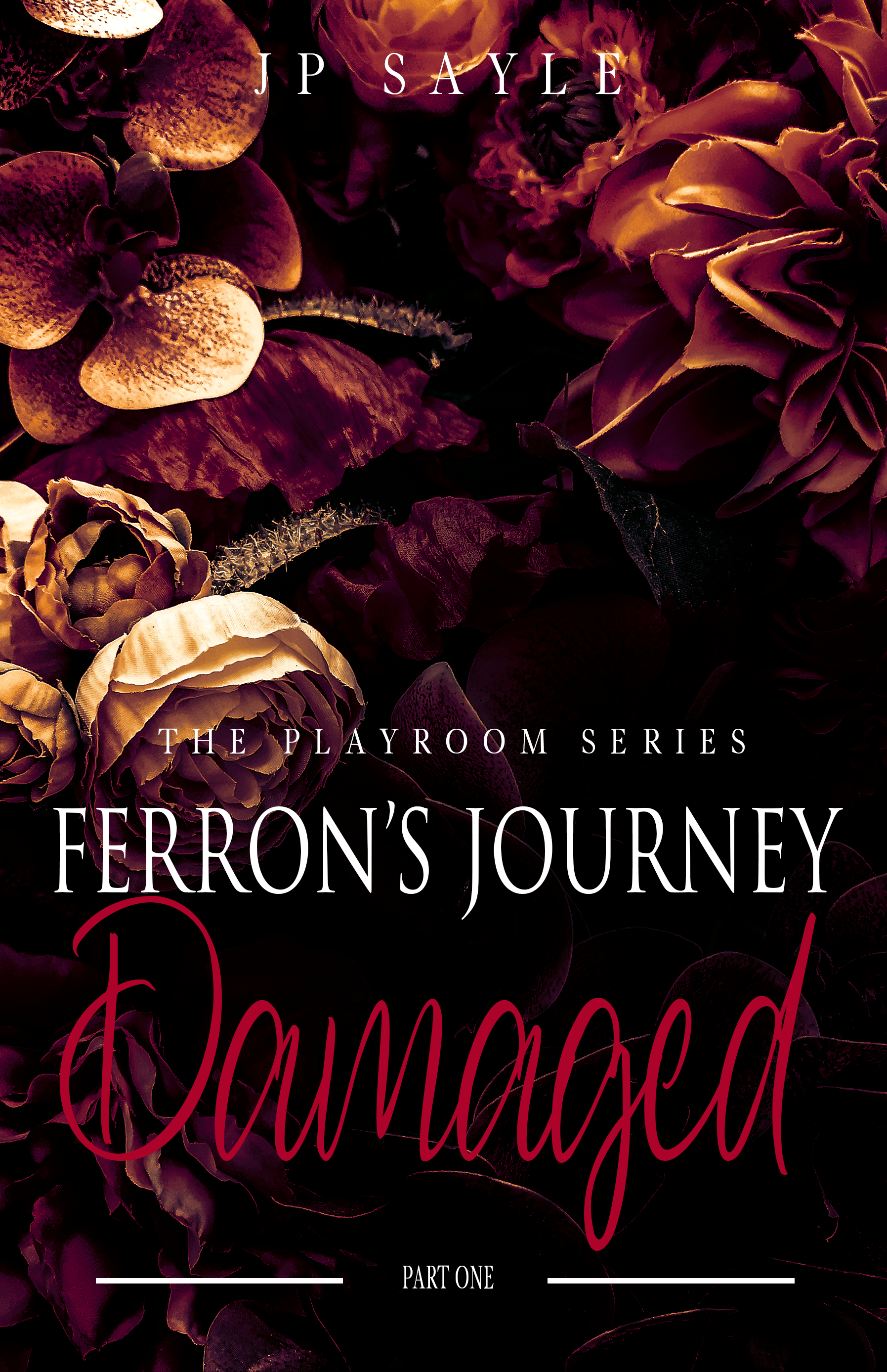 Damaged: Ferron’s Journey Part One (The Playroom #4)