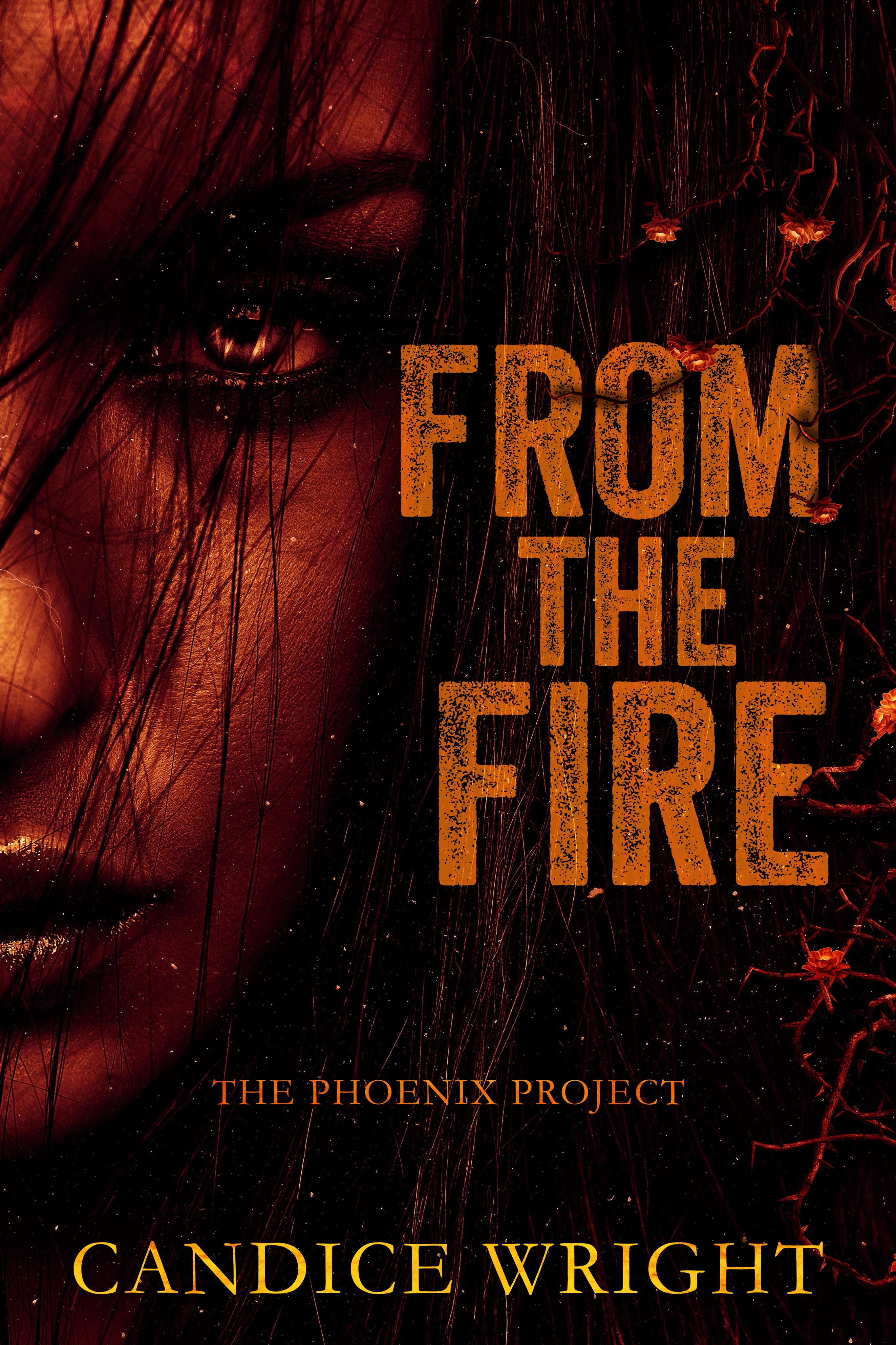 From the Fire (The Phoenix Project Duet #2)