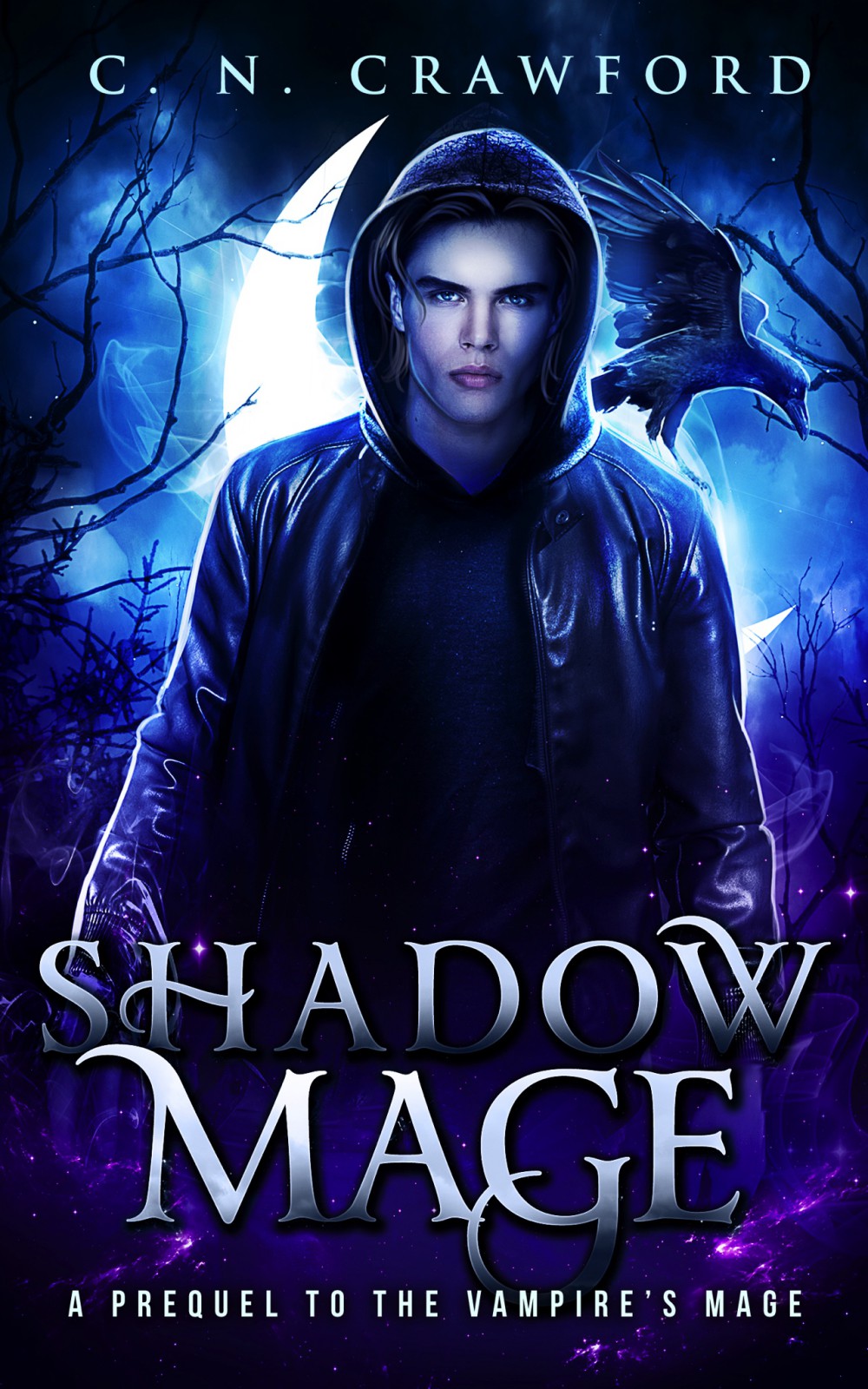 Shadow Mage (Kindle Edition)