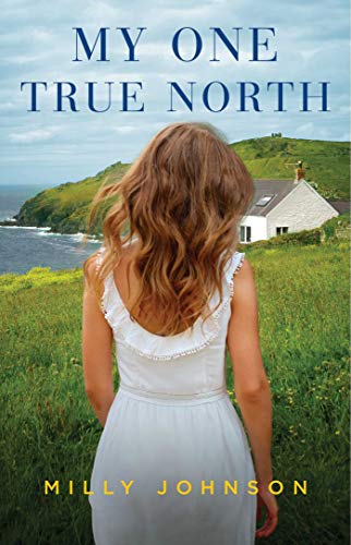 My One True North (Kindle Edition)