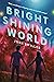 Bright Shining World