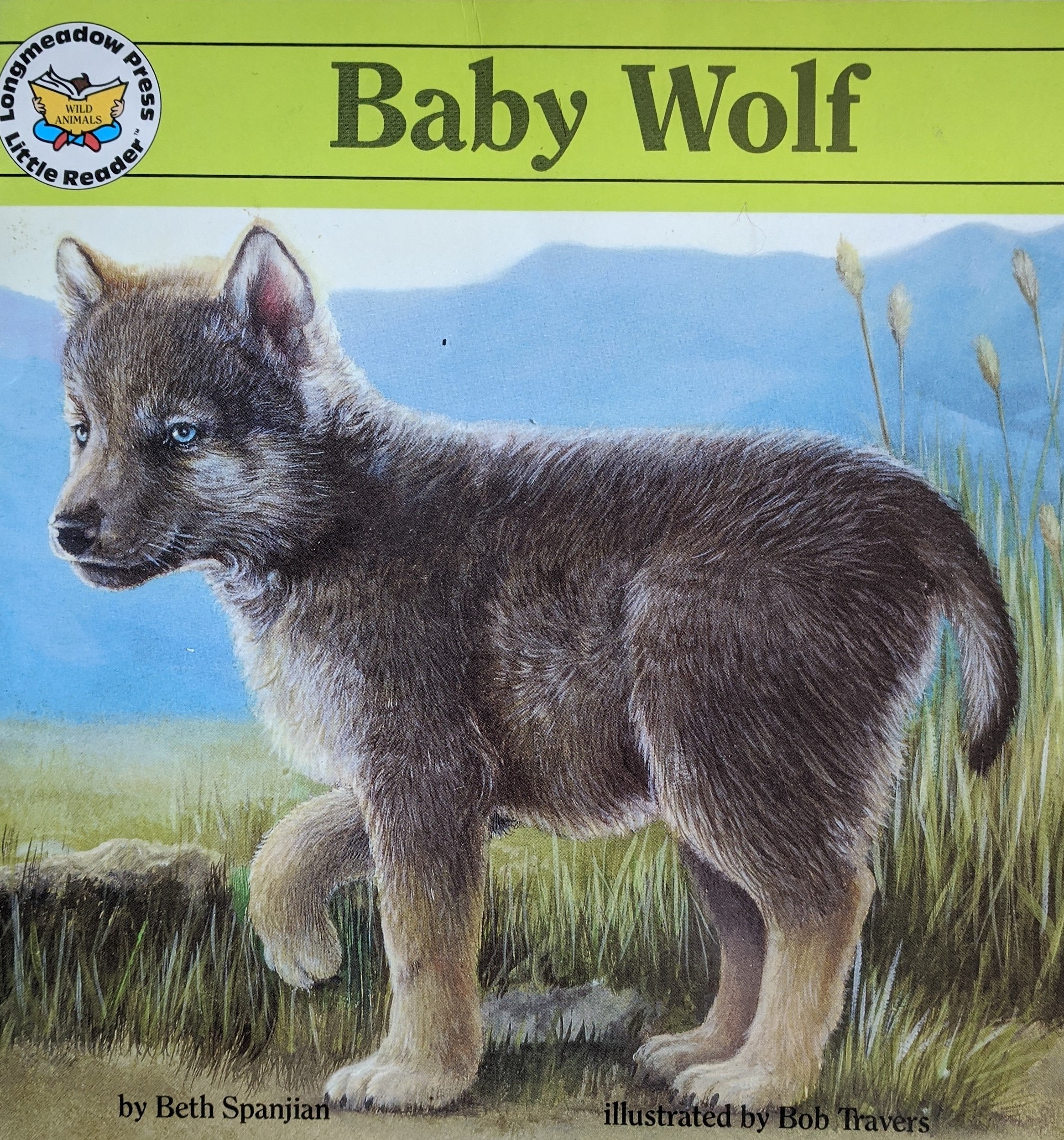 Baby Wolf
