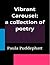 Vibrant Carousel: Poetry