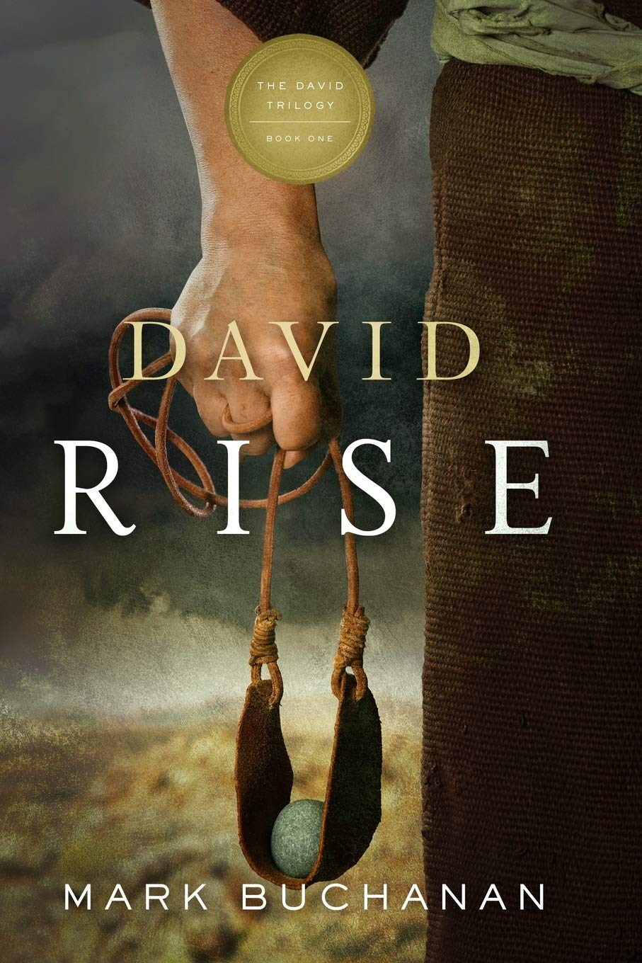 David: Rise (The David Trilogy #1)