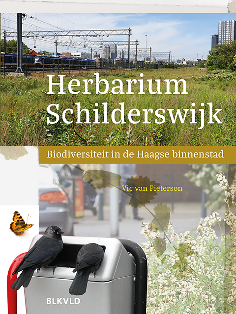 Herbarium Schilderswijk