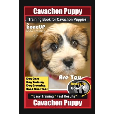 cavachon training