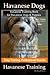 Havanese Dogs, Havanese Tra...