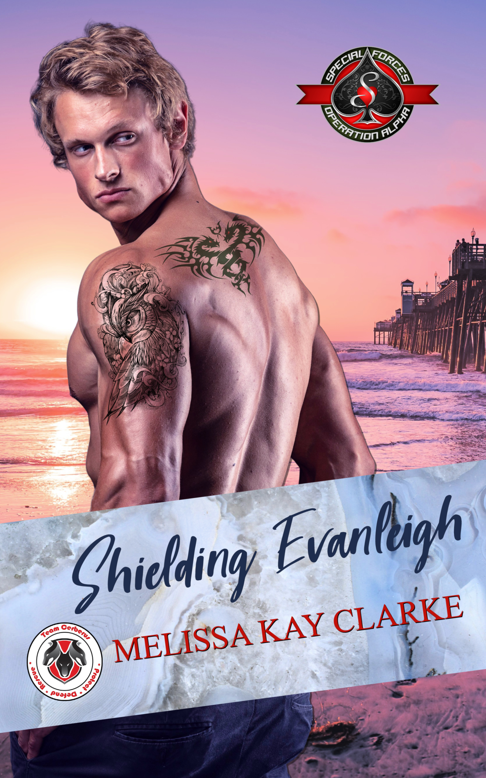 Shielding Evanleigh (Kindle Edition)