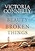 The Beauty of Broken Things