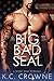 Big Bad SEAL by K.C. Crowne