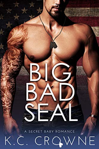 Big Bad SEAL (Big Bad Daddies #6)