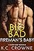 Big Bad Fireman's Baby (Firemen of Manhattan #1) by K.C. Crowne