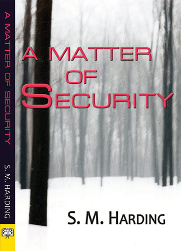 A Matter of Security
