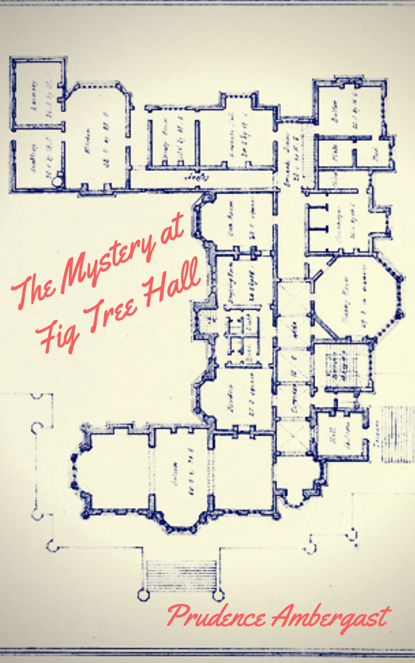 The Mystery at Fig Tree Hall (Paperback)