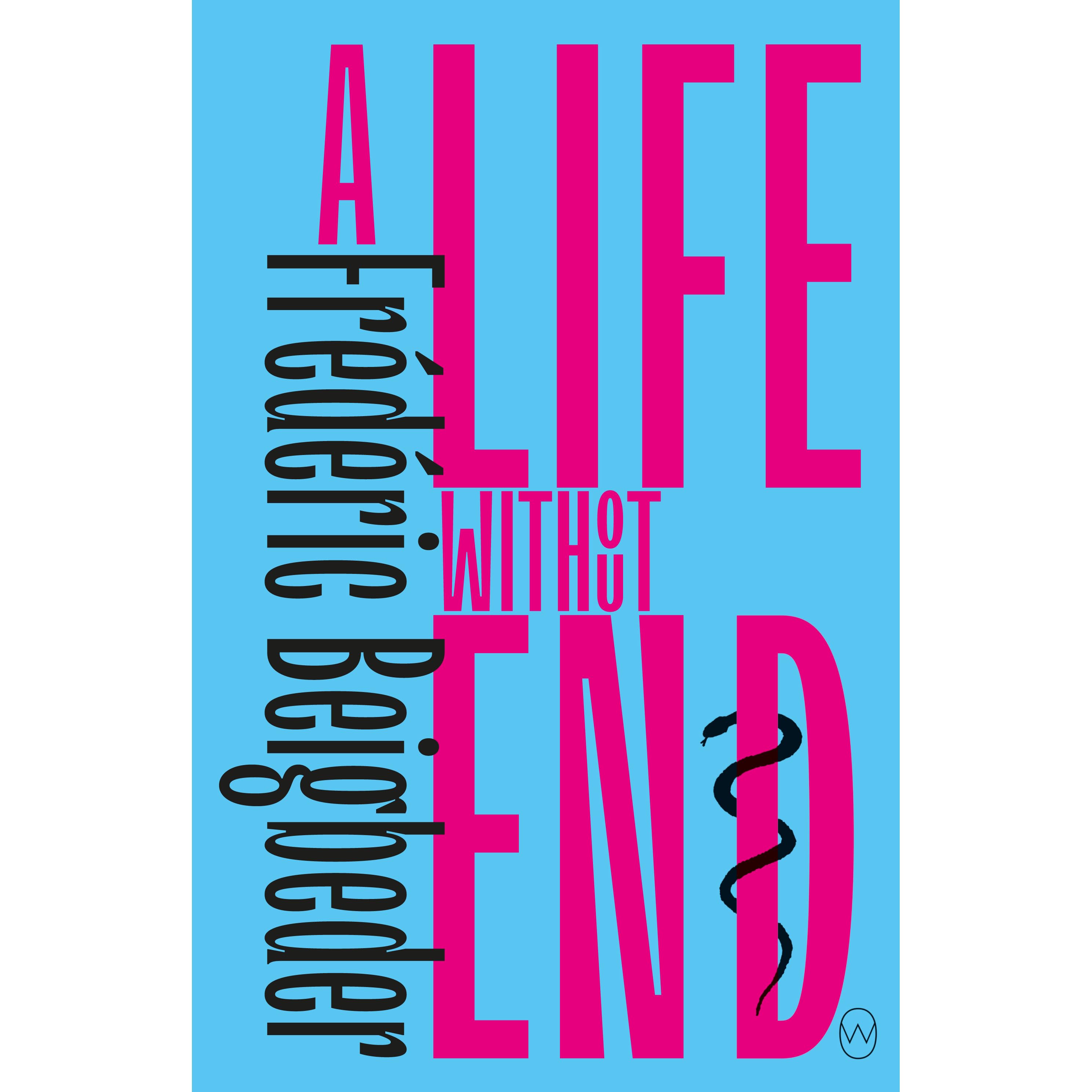 A Life Without End By Frederic Beigbeder