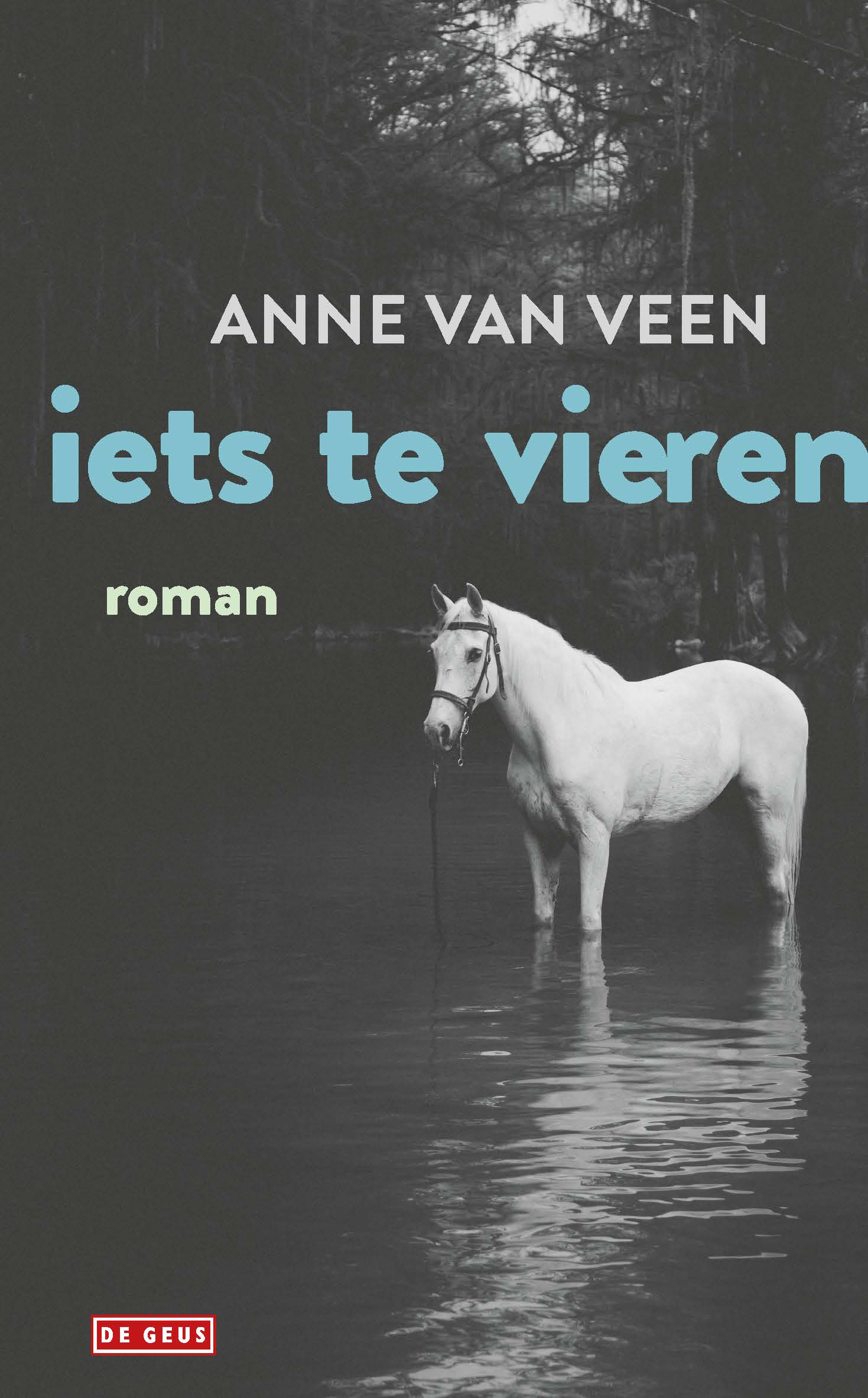 Iets te vieren
