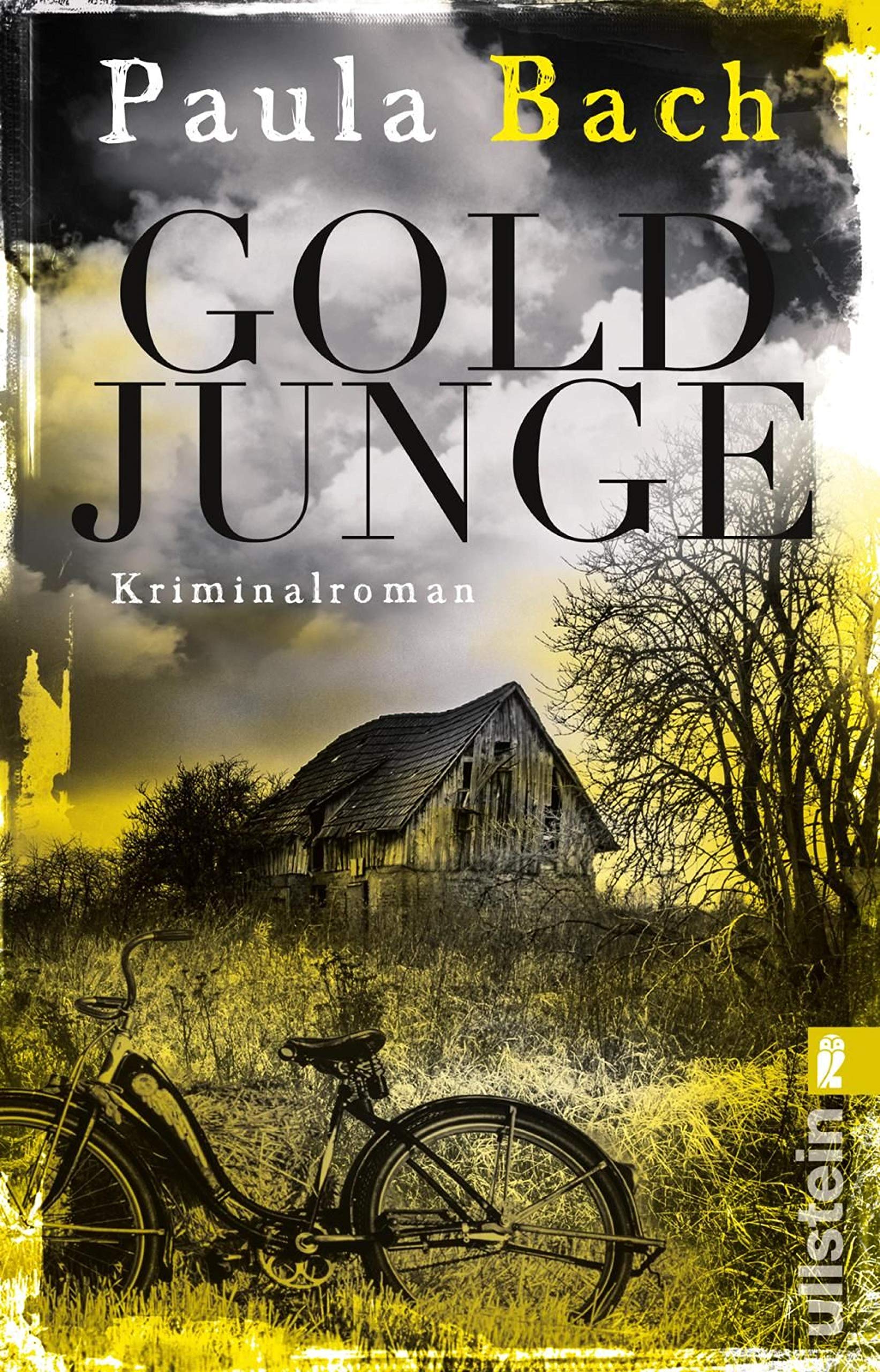 Goldjunge (Ira Schwarz, #1)