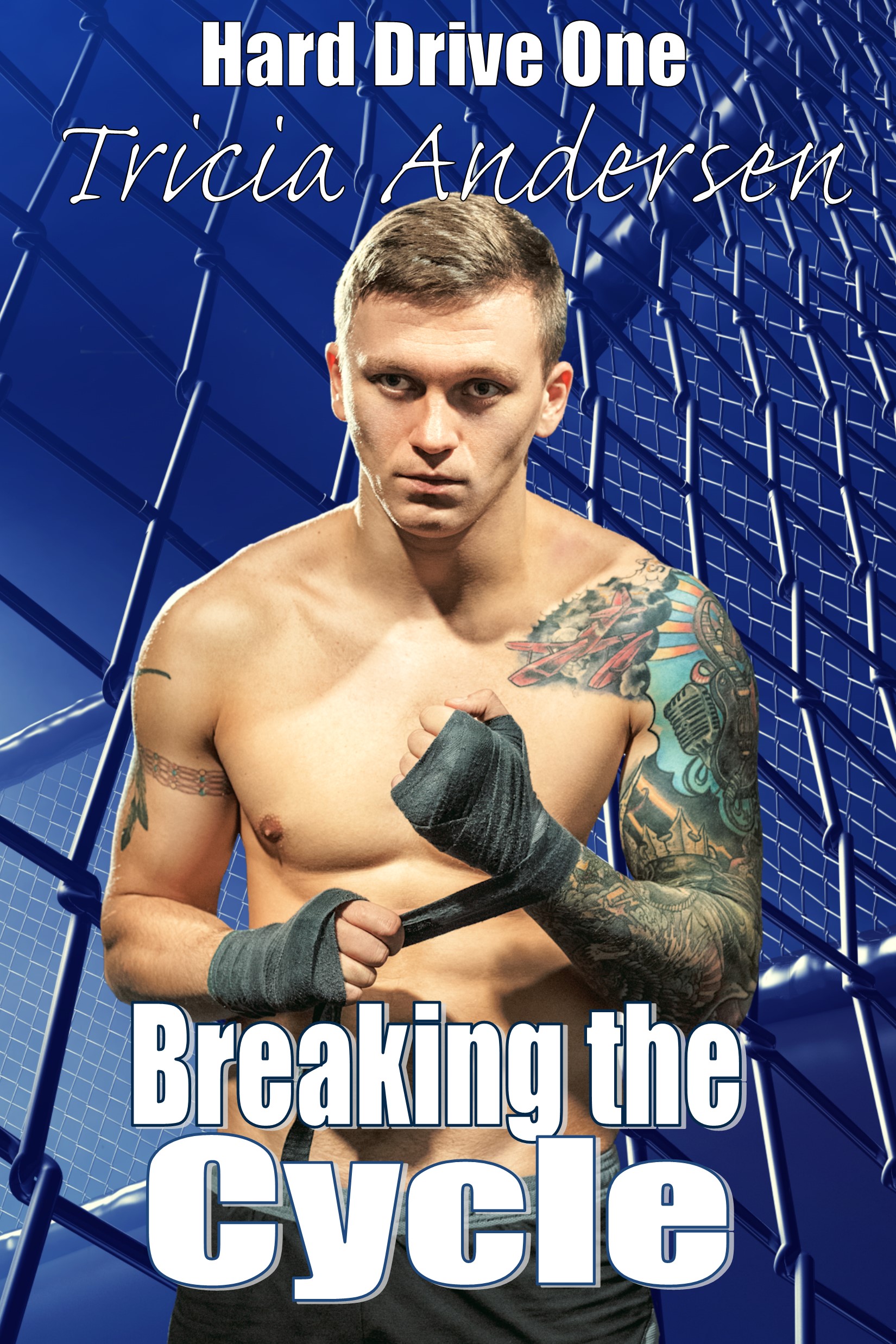 Breaking the Cycle (Hard Drive Series #1)