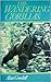 The wandering gorillas