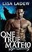 Shifter's Homecoming (One T...