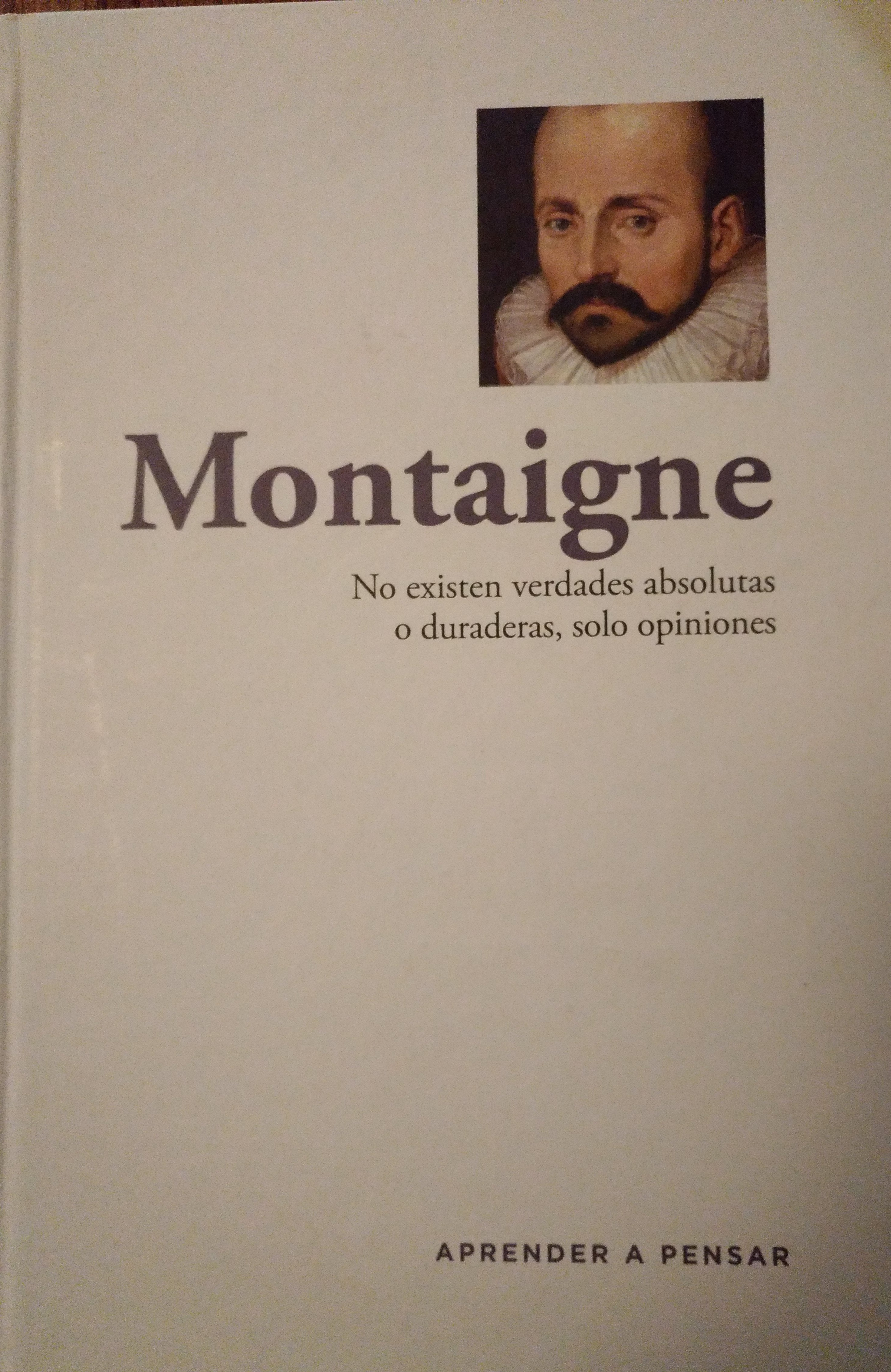 Montaigne (Hardcover)