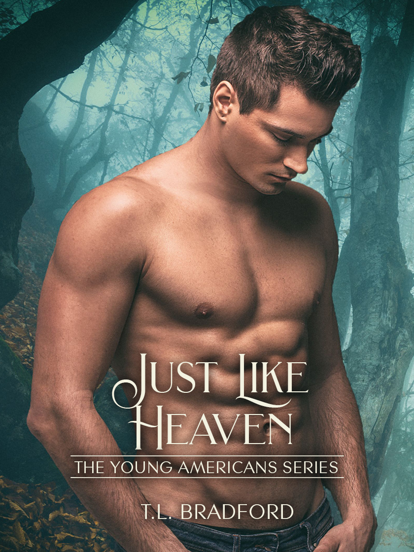 Just Like Heaven (The Young Americans, #1)