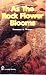 As the Rock Flower Blooms