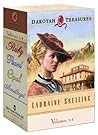 Dakotah Treasures (Dakotah Treasures, #1-4) Dakotah Treasures (Dakotah Treasures, #1-4)