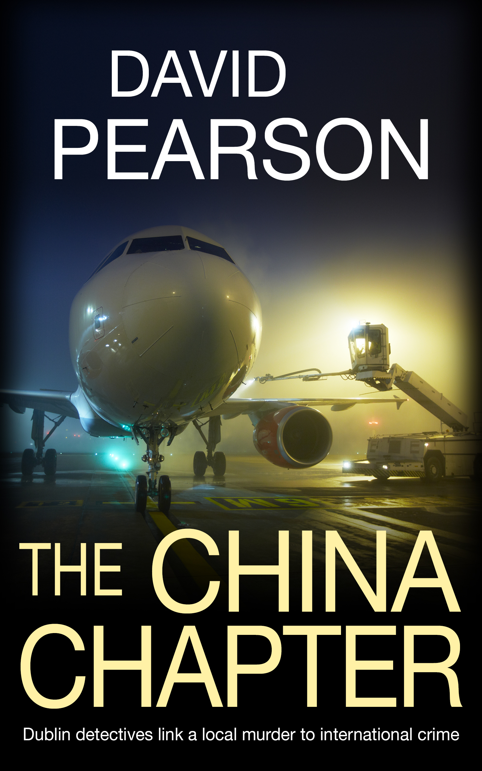 The China Chapter (The Dublin Homicides #3)